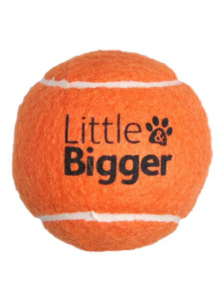 Теннисный мяч Little&Bigger с пищалкой оранжевого цвета размер M