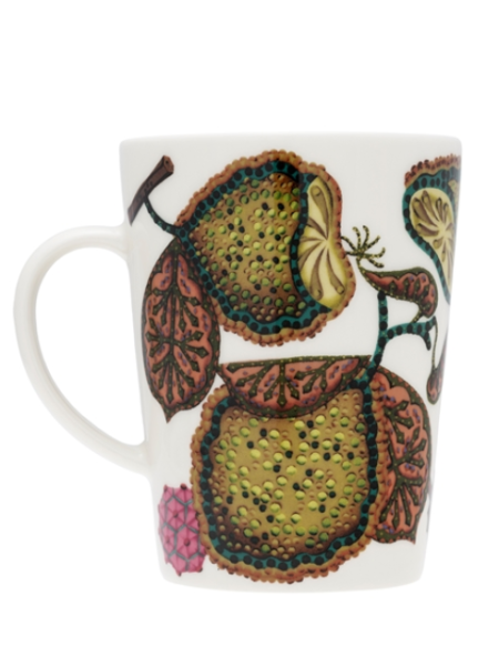 Чашка Iittala Taika Sato Lautanen 0,4л серия Волшебный урожай 