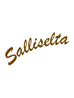 Salliselta