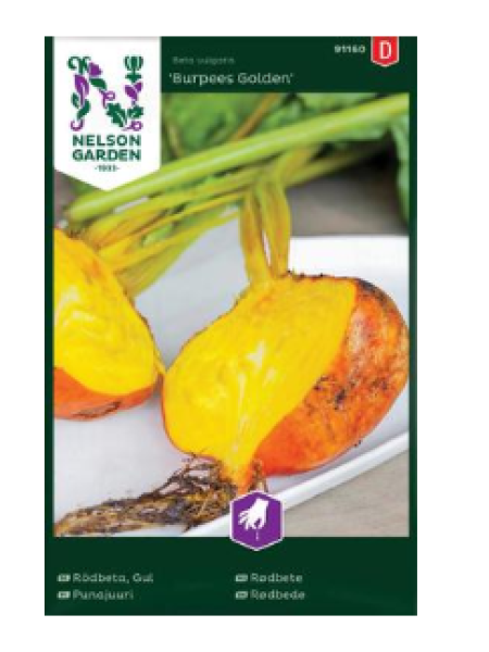 Семена золотой свеклы Nelson Garden Burpees Golden №91160 
