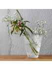 Ваза Iittala Kastehelmi 15,5 см прозрачная