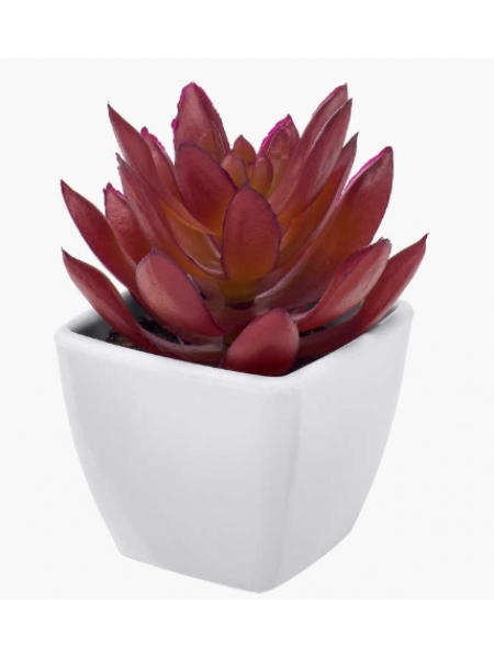 Искусственное растение в горшке суккулент 2 шт