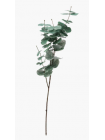 Декоративная ветка эвкалипта 81,3см