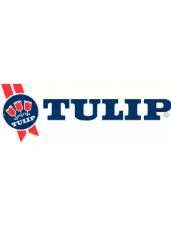 Tulip