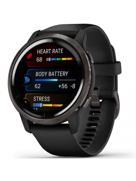 Спортивные часы Garmin VENU 2 GPS черные
