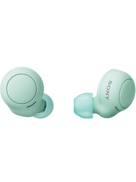 Наушники-вкладыши Sony WF-C500