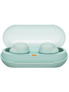 Наушники-вкладыши Sony WF-C500