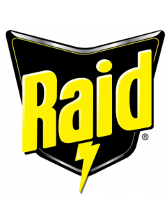 Raid
