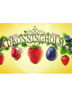 Dronningholm